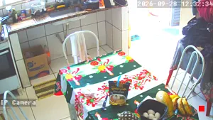 Caméra IP - BR