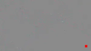 Caméra IP - US