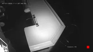 Caméra IP - US